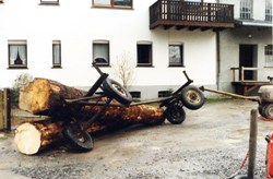 Unfall beim Holztransport