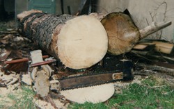 Zweihand-Elektokettensäge